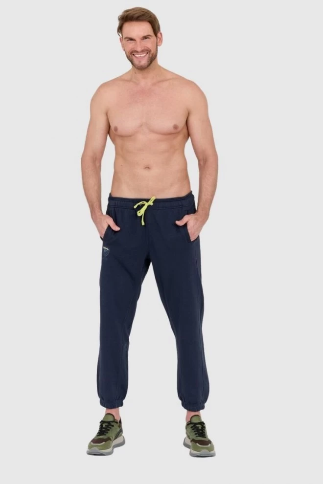 BLAUER Pants navy blue